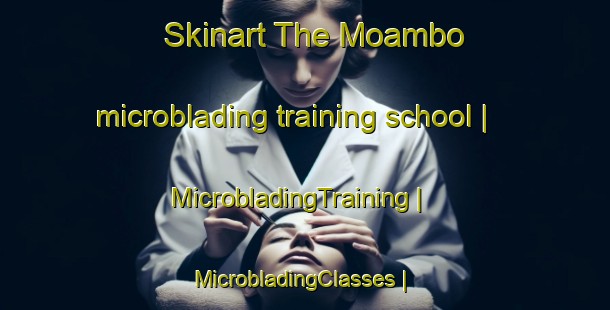 Skinart The Moambo microblading training school | MicrobladingTraining | MicrobladingClasses | SkinartTraining-the Democratic Republic of the Congo